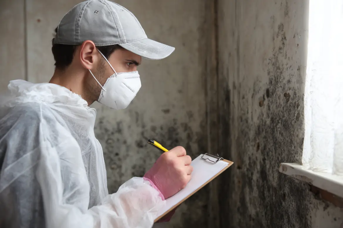 mold inspection